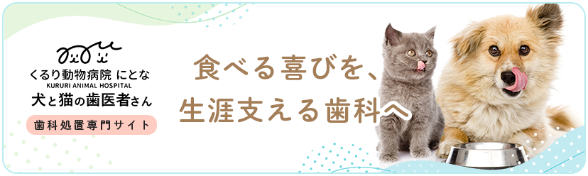 歯科処置専門サイト